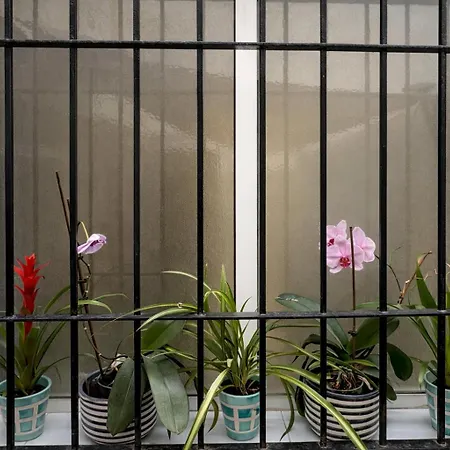 Amaro - Playa Victoria Apartment Cadiz